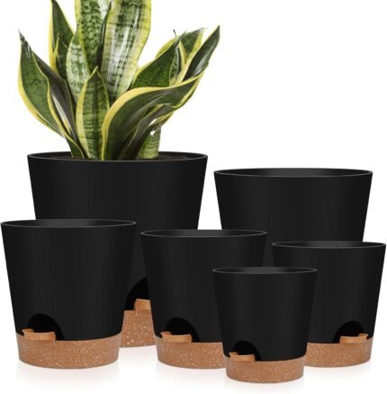 Indoor Self Watering Planters with Drainage Holes